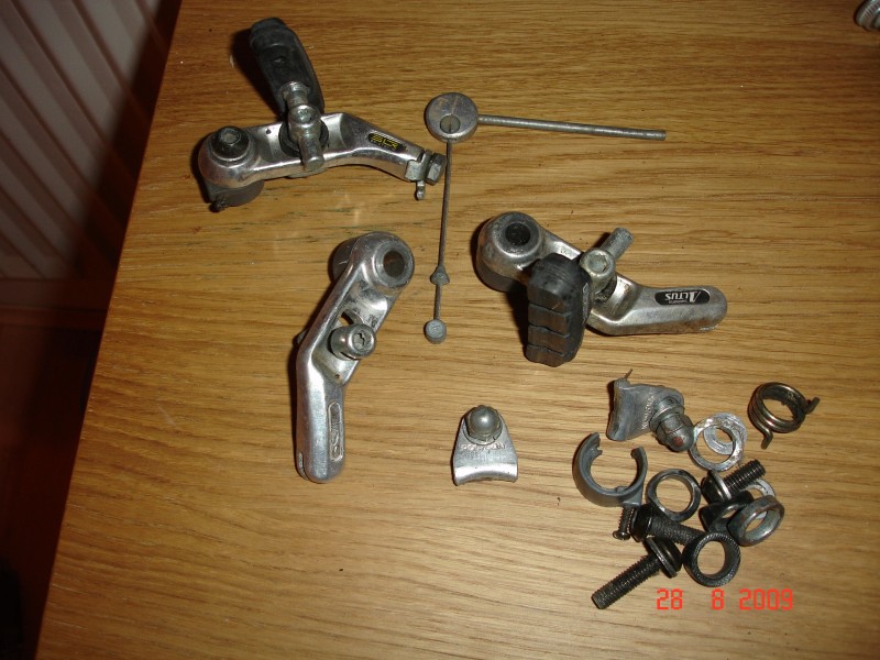 mpbpic3932149.jpg