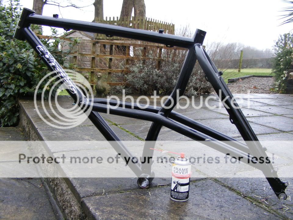 2010_0118saver0001.jpg