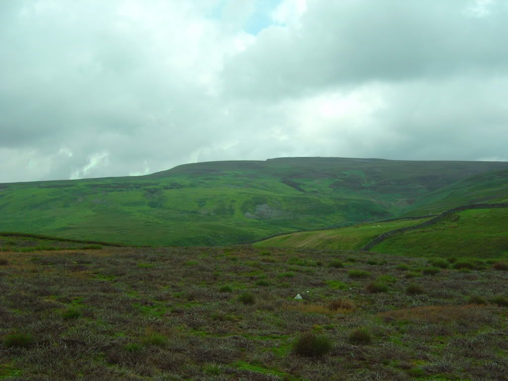 IMG00356.jpg