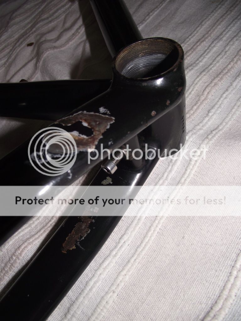 DSCF3627.jpg