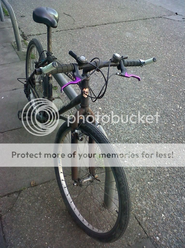 BBbeachraceandbikes024-1.jpg