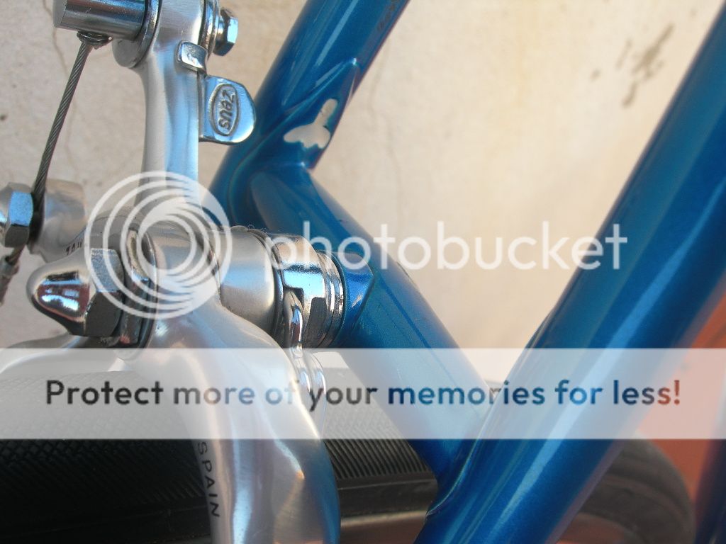DSCN0028_zpsfmbmhmye.jpg