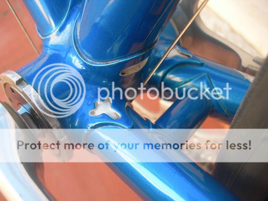 DSCN0053_zpshszjq5la.jpg