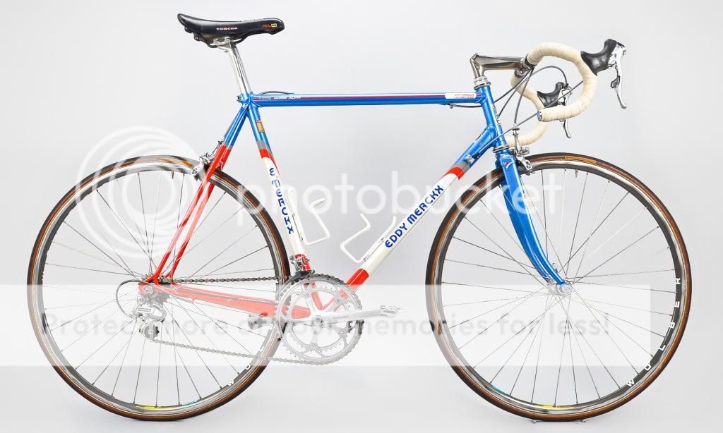 Eddy%20Merckx%20Team%20Motorola%20Norm%20Alvis-1.jpg