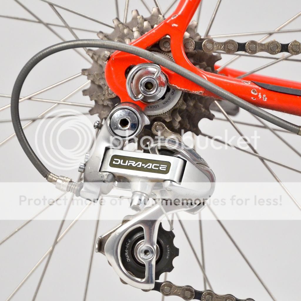 Eddy%20Merckx%20Team%20Motorola%20Norm%20Alvis-4.jpg