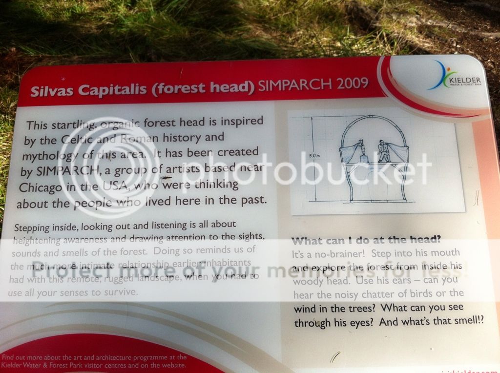 99F33080-C54D-44FD-9DB7-B8D182CD3344-3463-000002D47116A560.jpg