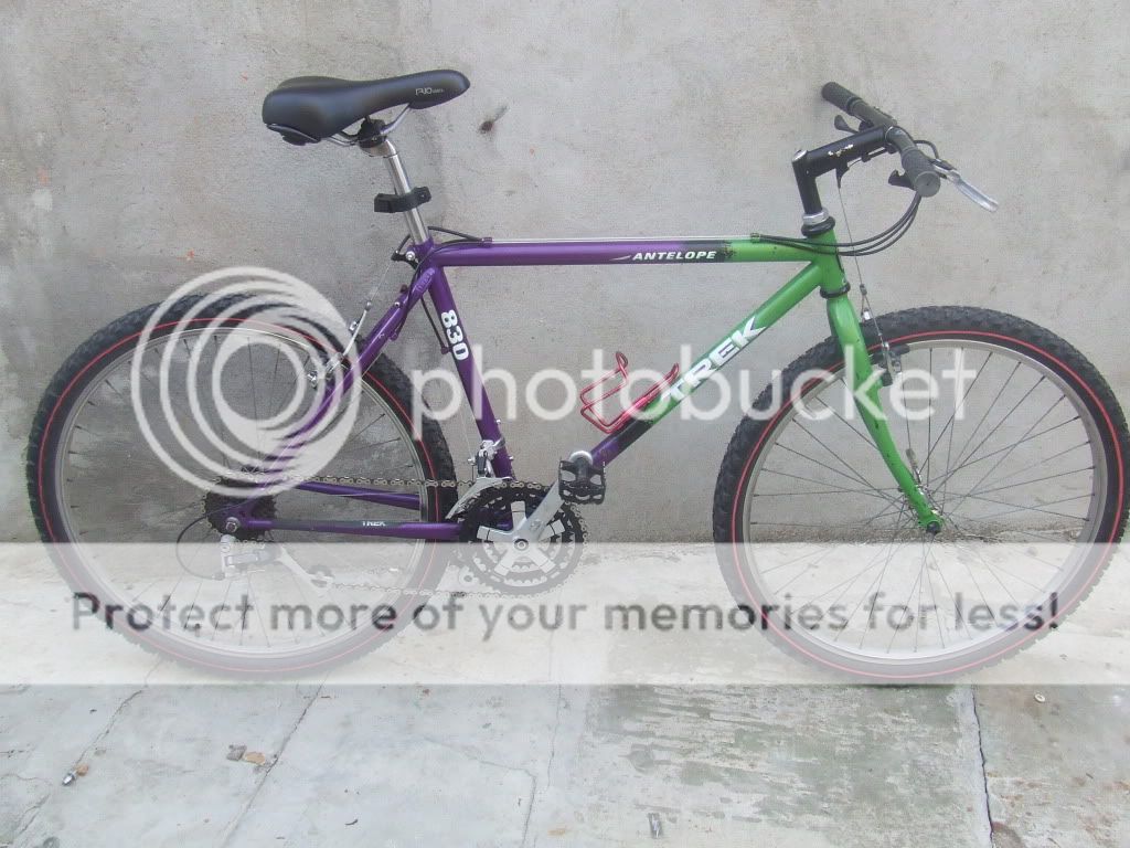 bikes013.jpg