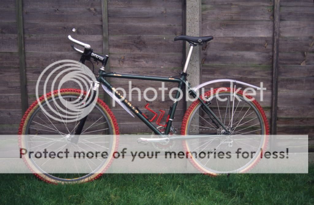 BicycleChasRobertsWhiteSpiderinMarch1993.jpg