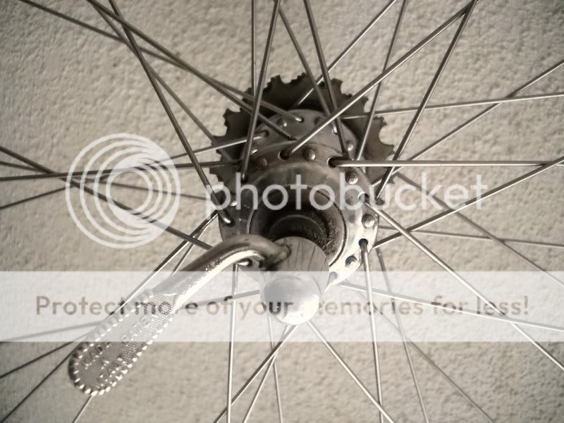 Backwheel01.jpg