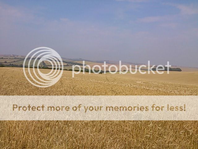 GoldenWaves_zps92a52899.jpg