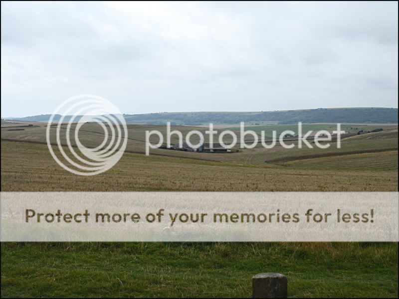 Hay.jpg