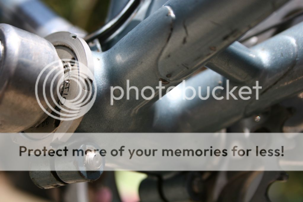 hollister_zpsf4ea5711.jpg