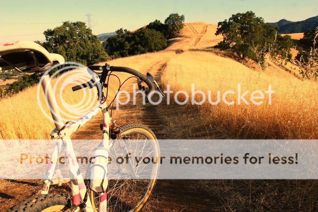 hollister_zps86e3556e.jpg
