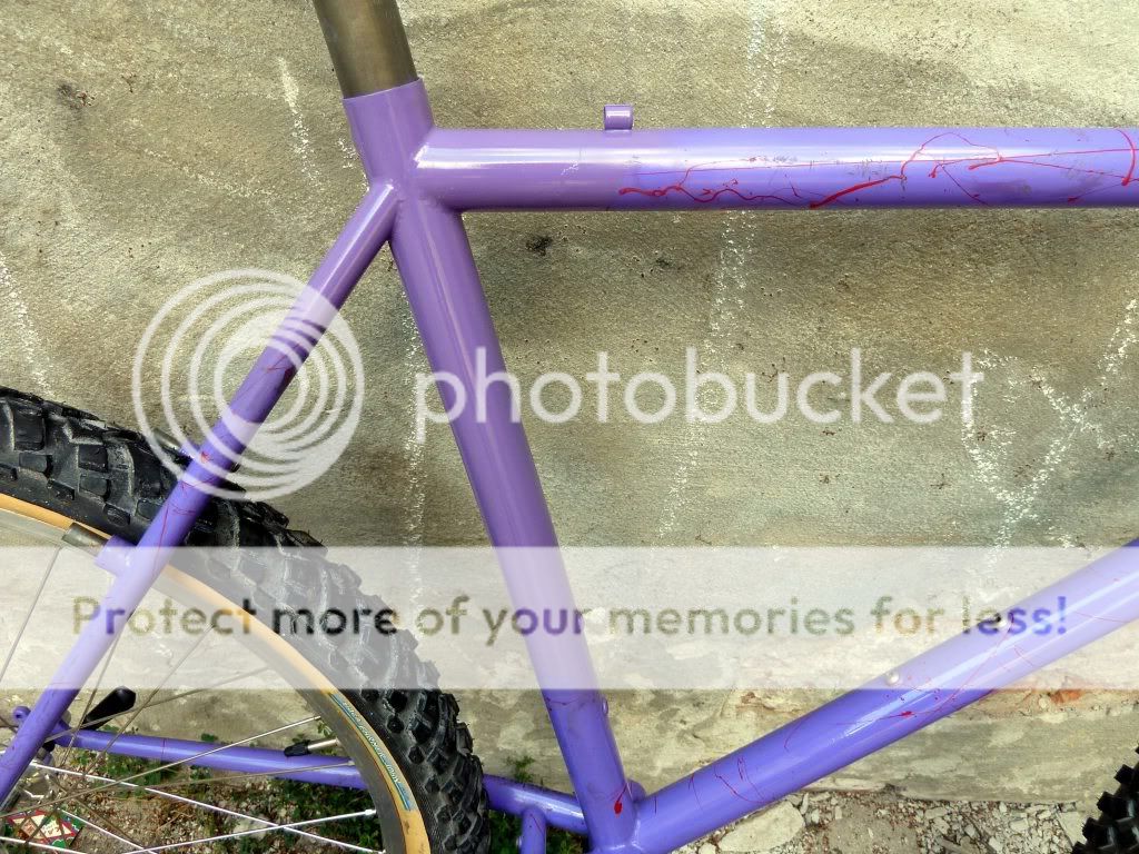 ibis1022mttrials06.jpg