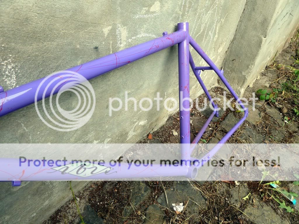 ibis1022mttrials13.jpg
