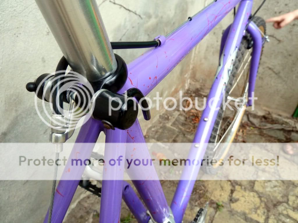 ibis1022mttrials18.jpg