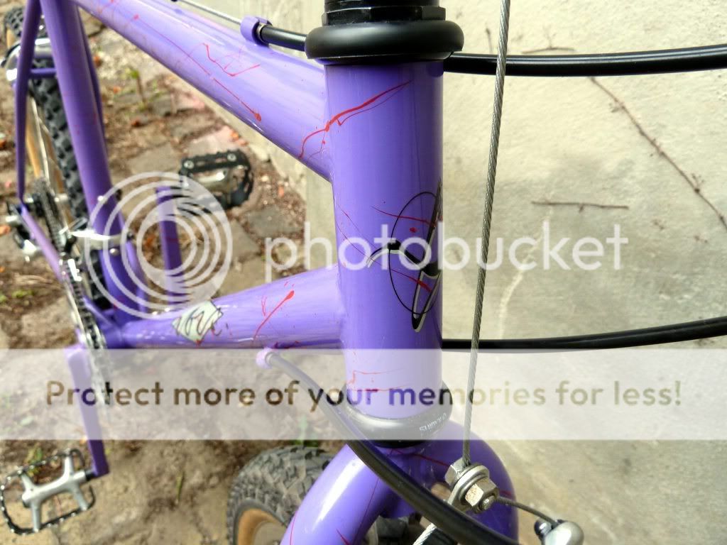 ibis1022mttrials19.jpg