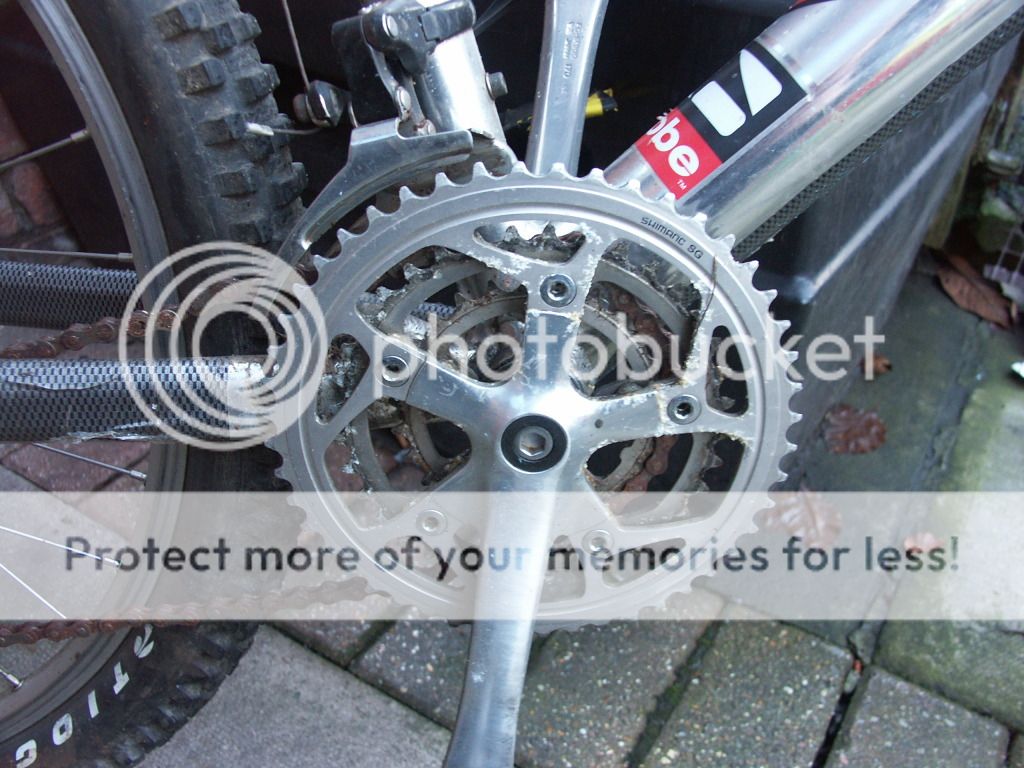 bikesandporsche045.jpg