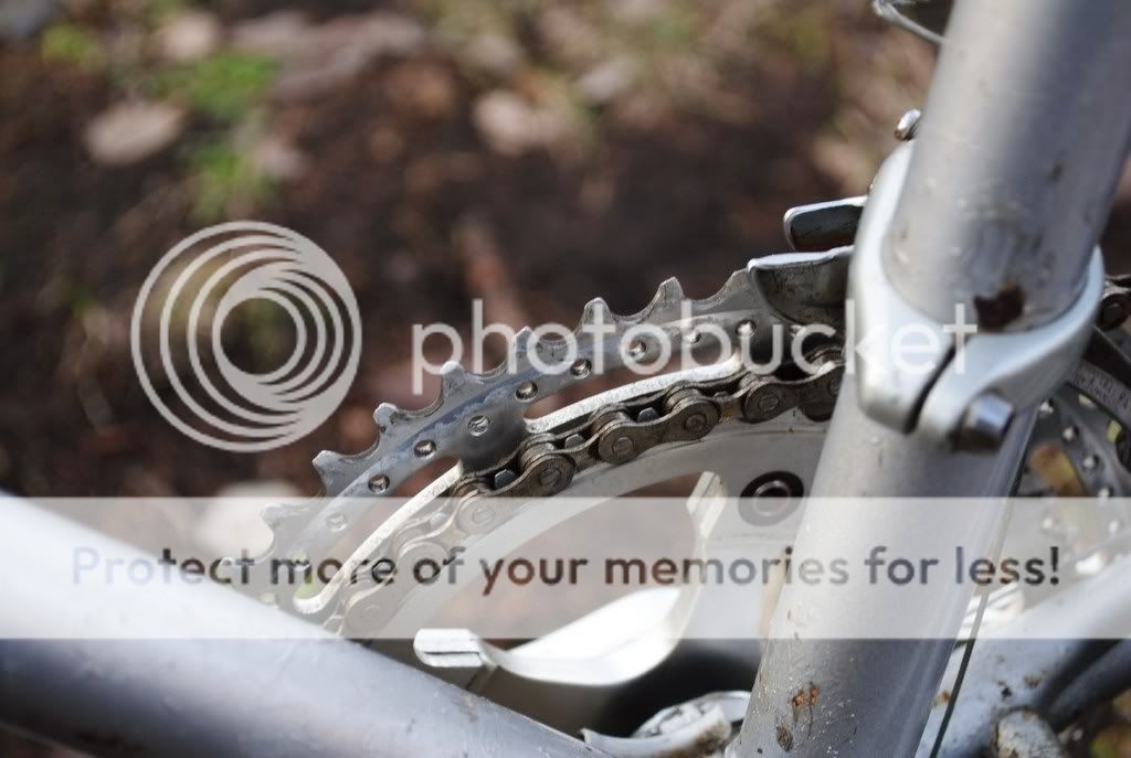 DSC_0122_zpsbb86f240.jpg