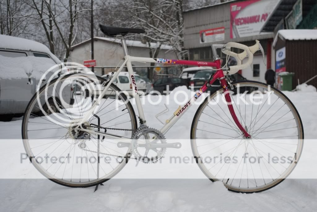 DSC_0215_zps59b5b038.jpg