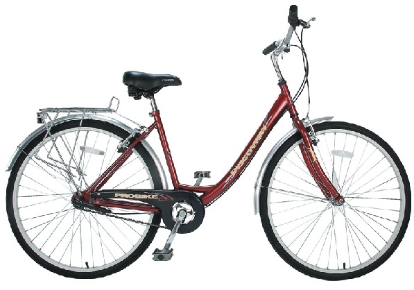 1.187145probike-discovery-ladies-3-speed-hybrid-bike-34161.jpg